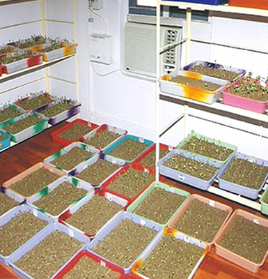 seedconditioning2
